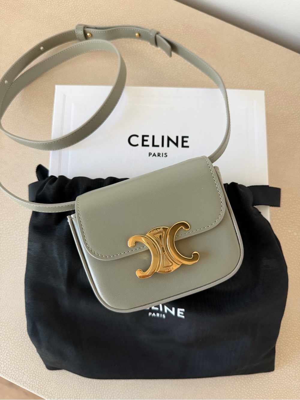 Celine mini Crossbody Bag in Sage Green with Gold Hardware